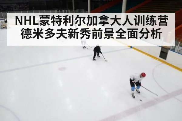 NHL蒙特利尔加拿大人训练营德米多夫新秀前景全面分析