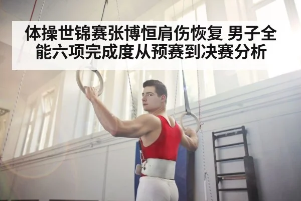 体操世锦赛张博恒肩伤恢复 男子全能六项完成度从预赛到决赛分析