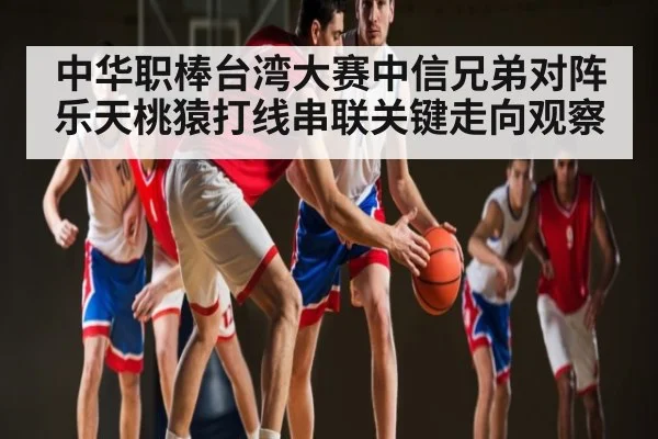 中华职棒台湾大赛中信兄弟对阵乐天桃猿打线串联关键走向观察